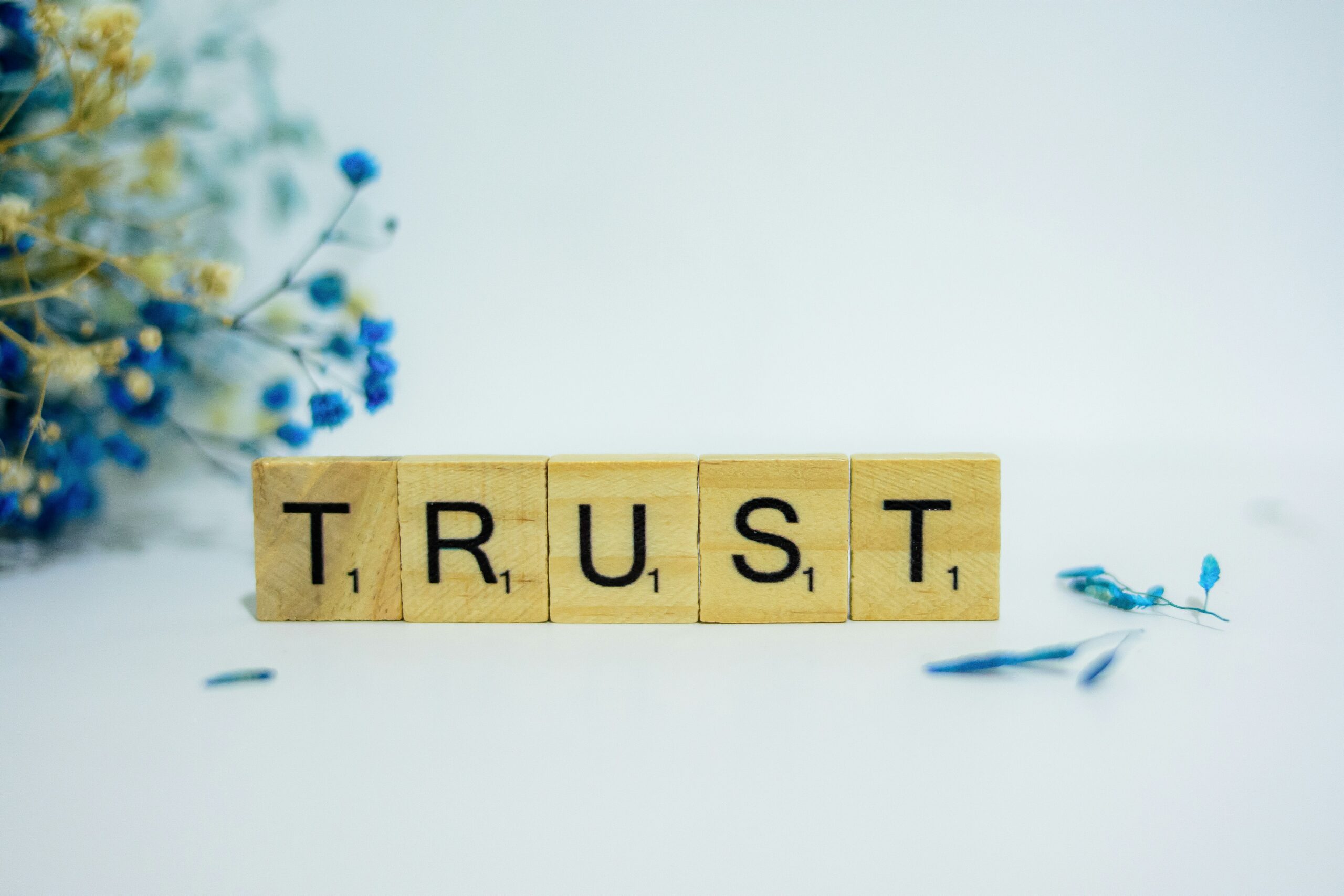 Passo a passo para gerar confiança e construir credibilidade