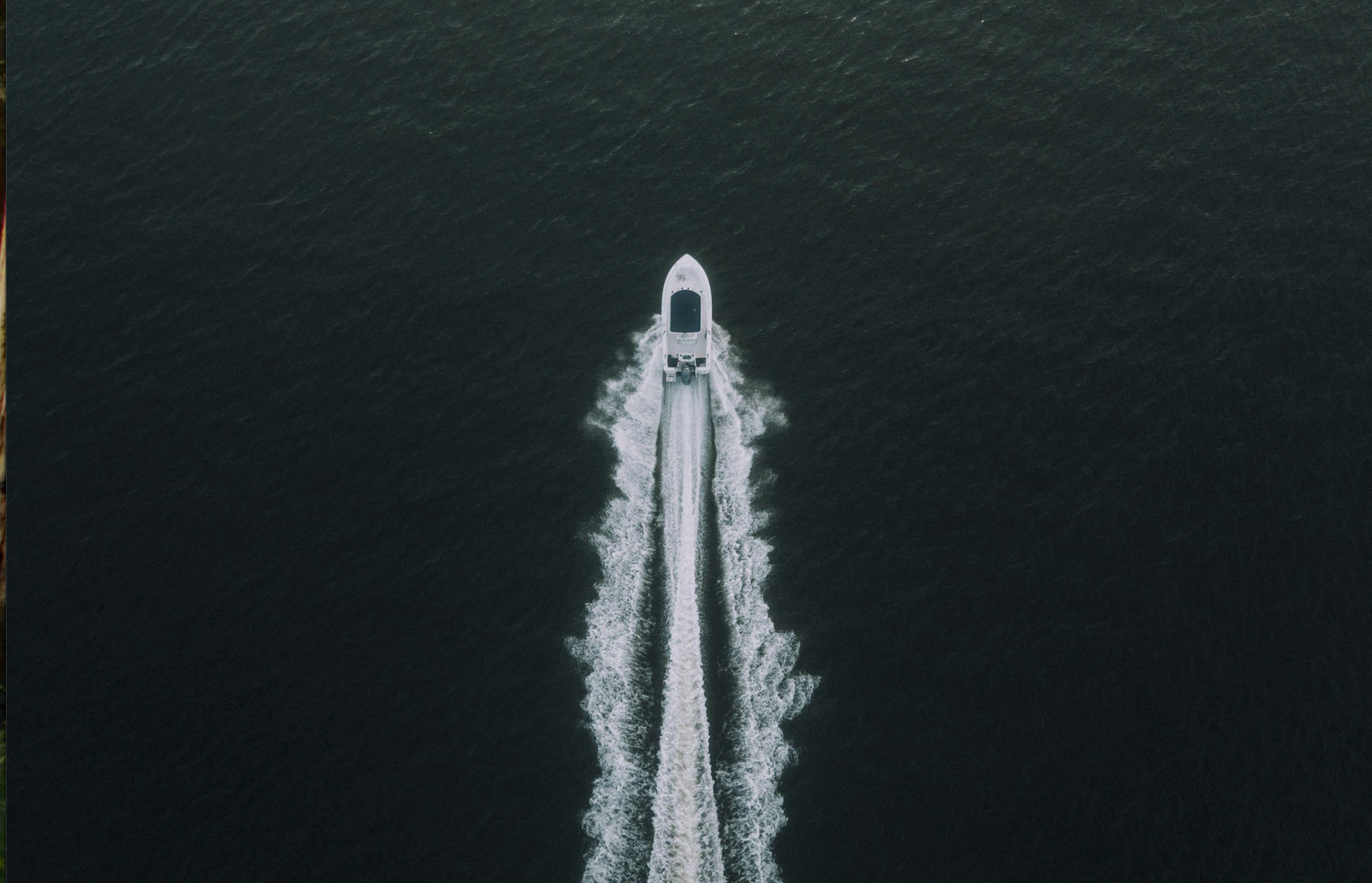 exclusividade afiliativa